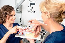 Modell eines Gehörganges in der HNO-Praxis